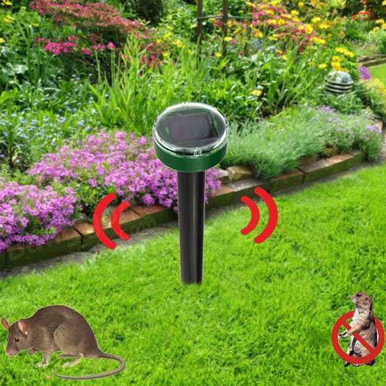 Solar Repeller for Mice and Snakes